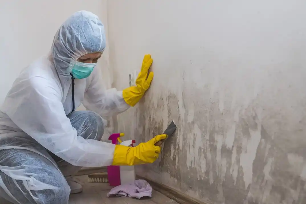 water damage restoration service Cherry Hill